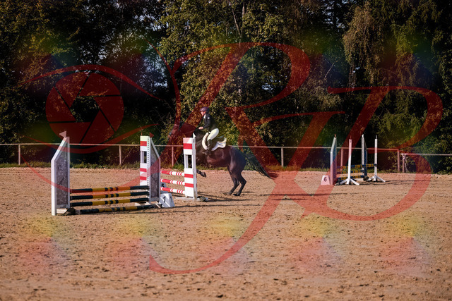 2026_10_03_Siefer-Hof_154950_Z81_68690935 | Professionelle Reitsport-, Turnier- und Eventfotografie von Robert Broda. Galerien mit ausgewählten und bearbeiteten Bildern direkt online ansehen und bestellen.