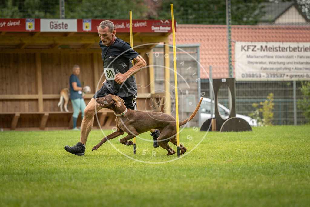 Pfotenfotografie_DV3A8397 | Hundefotografie, Tierfotograf, Pfotenfotografie, Fotoshooting Hund, Hunde Portrait, Hundesport, Hundeportraits, Heideshooting, Hunde, Sportfotograf, Hundefotograf, Turnierhundsport, THS,  - Realisiert mit Pictrs.com