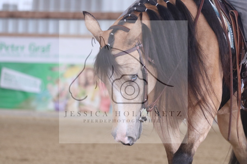 IMG_9195 | jessicahollubetz_pferdephotographie - Realisiert mit Pictrs.com