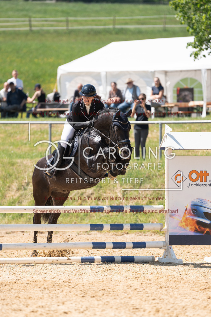 DSC04427 | Springturnier_Ehingen_Mai_2026, Alina_Leyrer, Bonito_452