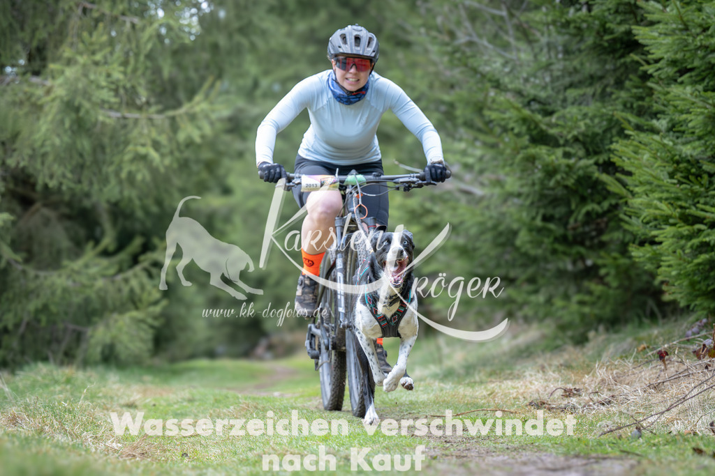 1309_ZZ93689 | kk-dogfotos