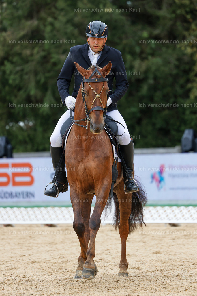 3-239-Dressur M_-StoibPH-2420 | working equitationturnier fotograf videograf stoibphotography marixx film working equitation deutschland reitsport turnierfotografie eventfotografie equestrian events