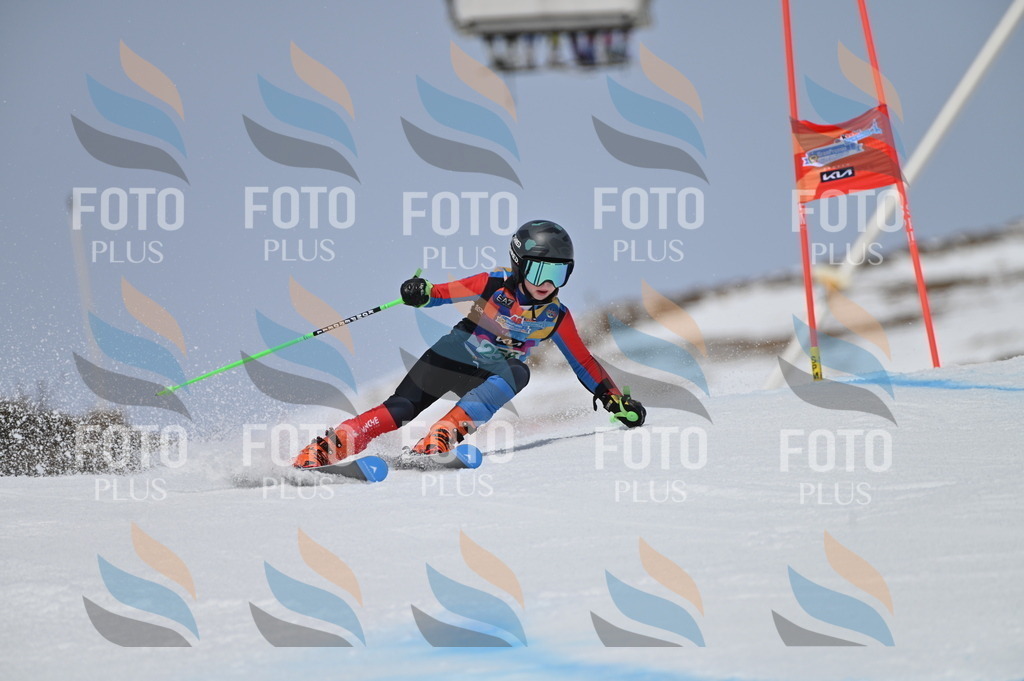 BGV_5112 | holidayphoto