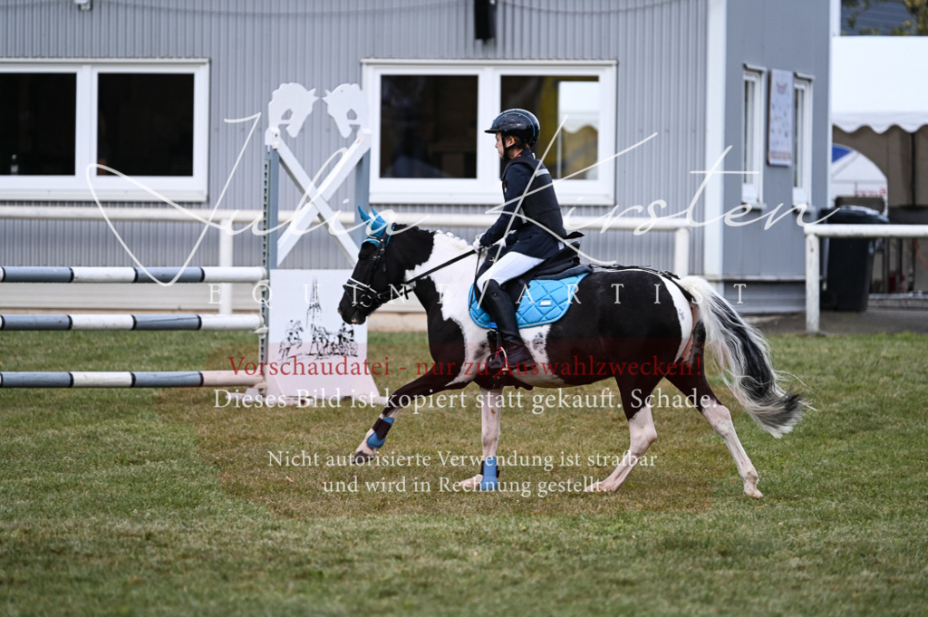 DSC_5467 | Pferde- und Turnierfotografie in Westsachsen. Pferdeportraits, Auftragszeichnungen und intuitive Kunst.