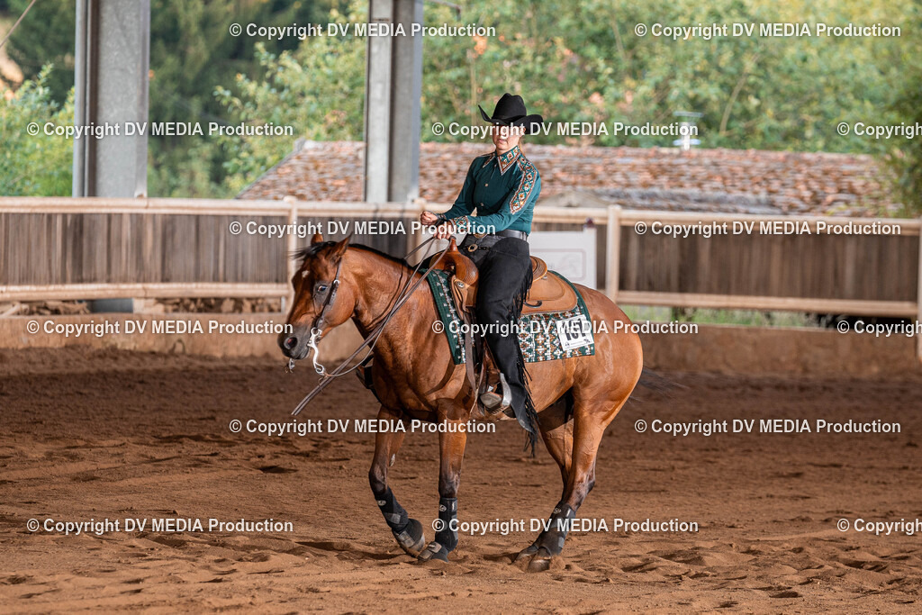 Erbach Tag 2-1275 | dv-media-shop - Realisiert mit Pictrs.com