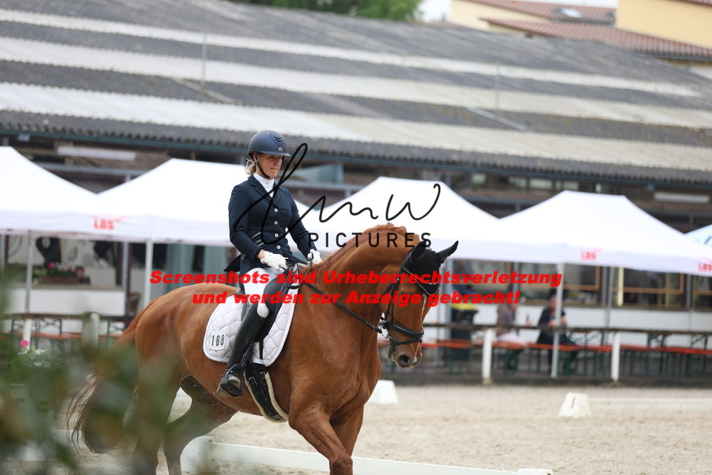 A40A8198 | lmwpictures - Realisiert mit Pictrs.com