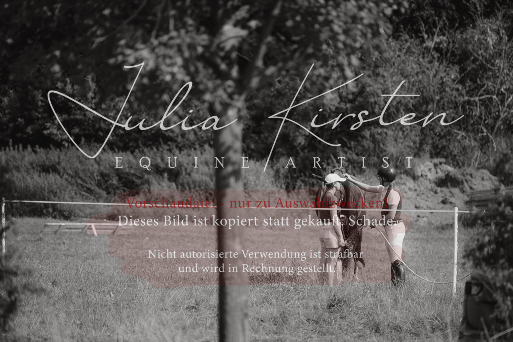 DSC_0969 | Pferde- und Turnierfotografie in Westsachsen. Pferdeportraits, Auftragszeichnungen und intuitive Kunst.