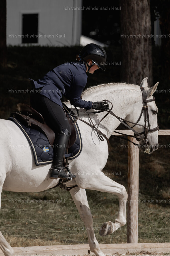 WE_ST_Stoib_328_PI2025_876 | Pferd International München 2025