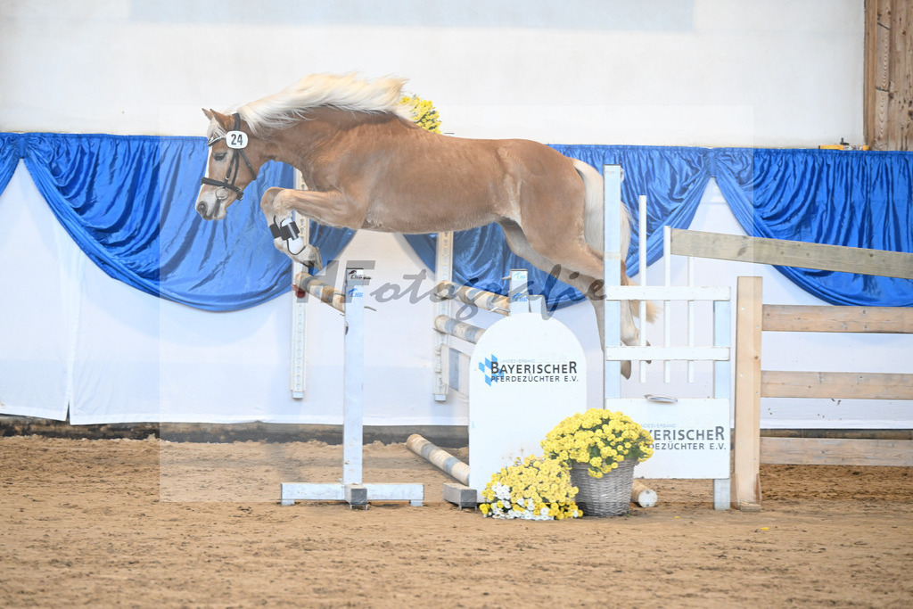 Kat-Nr. 24 nn v. Walkman M_Hartmann_48250500 | hf-fotografie - Realisiert mit Pictrs.com