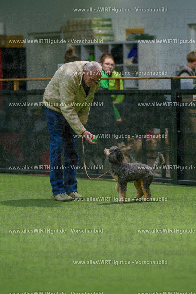 7R505724 | Professionelle Tierfotografie in Mönchengladbach von Daniel Wirth (allesWIRTHgut). Liebevolle & natürliche Bilder von Hunden & Katzen für unvergessliche Erinnerungen.