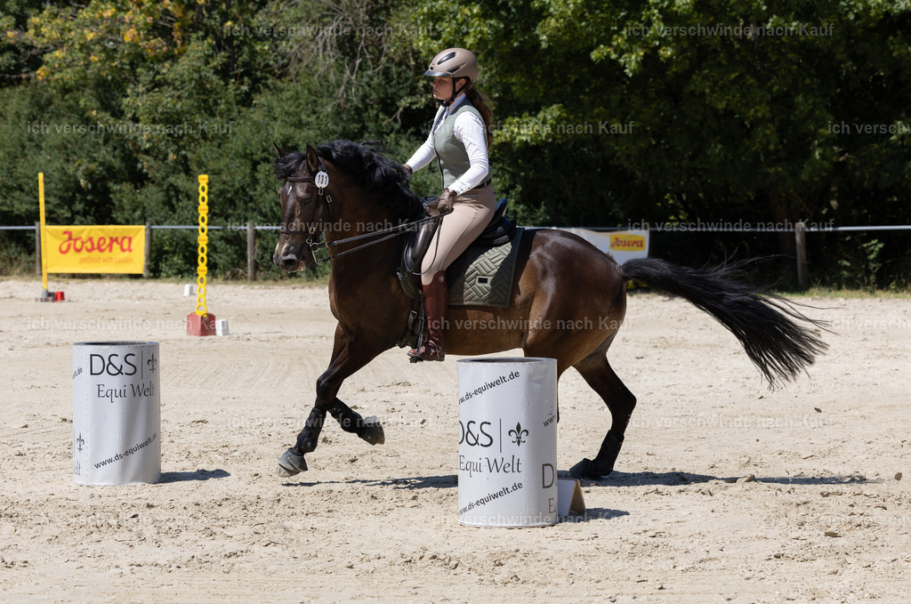 WM_Junioren_Speed_131_KerstinBernhardt-11 | working equitationturnier fotograf videograf stoibphotography marixx film working equitation deutschland reitsport turnierfotografie eventfotografie equestrian events