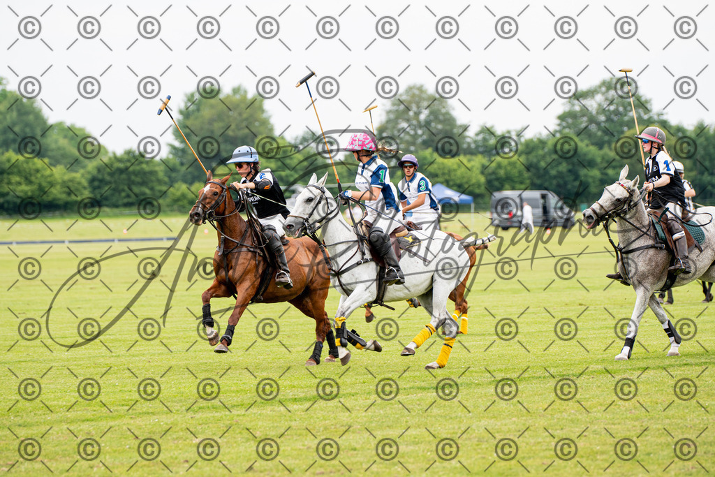 POL_3918 | andre_photographic