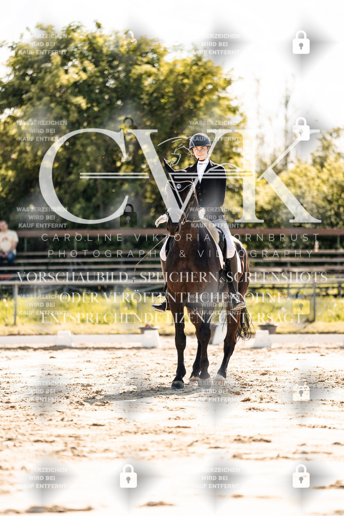 CK909295 | Turnierfotografie Pferdefotografie Trier Rheinland-Pfalz Pferdesport Reitsport Tierfotografie Sportfotografie Pferdevideo Pferdevideografie Equestrianvideography equestrianphotography  - Realisiert mit Pictrs.com