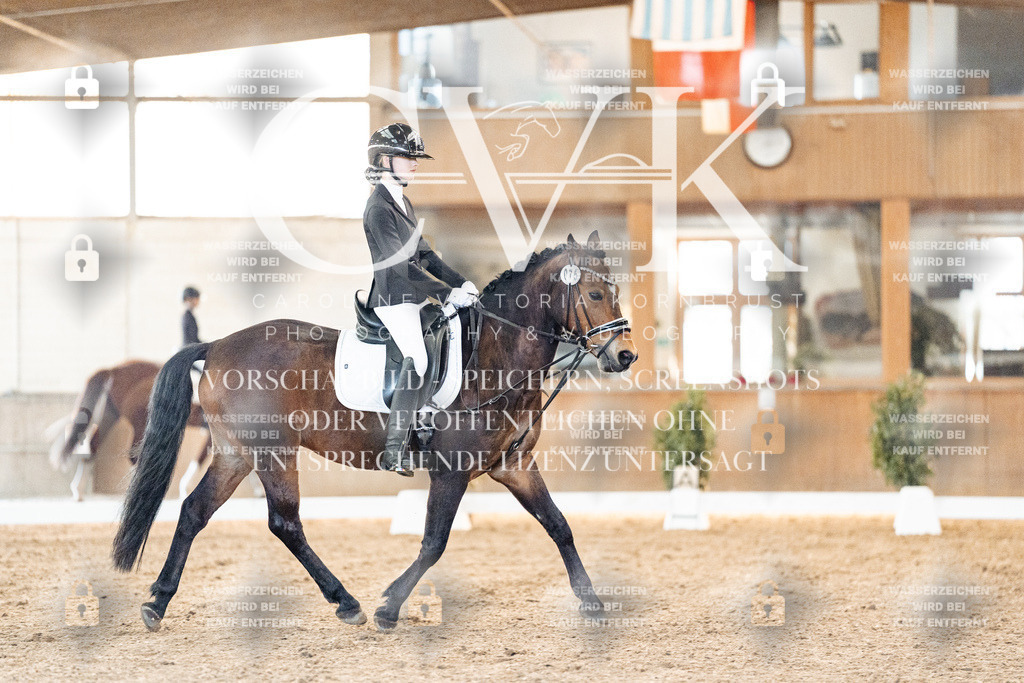 CK906586 | Turnierfotografie Pferdefotografie Trier Rheinland-Pfalz Pferdesport Reitsport Tierfotografie Sportfotografie Pferdevideo Pferdevideografie Equestrianvideography equestrianphotography  - Realisiert mit Pictrs.com