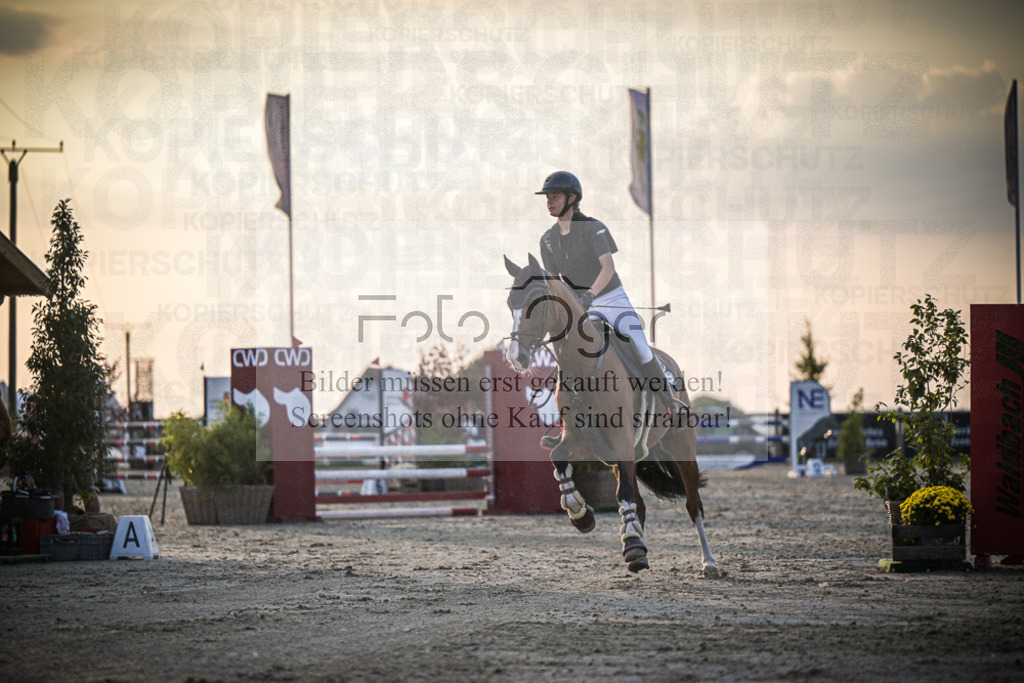 DOS_1140 | Entdecke hochwertige Reitturnierfotos von Foto Oger. Professionell, emotional und authentisch – jetzt Lieblingsmomente im Shop bestellen.Deutschlandweite Turnierfotografie. - Realisiert mit Pictrs.com