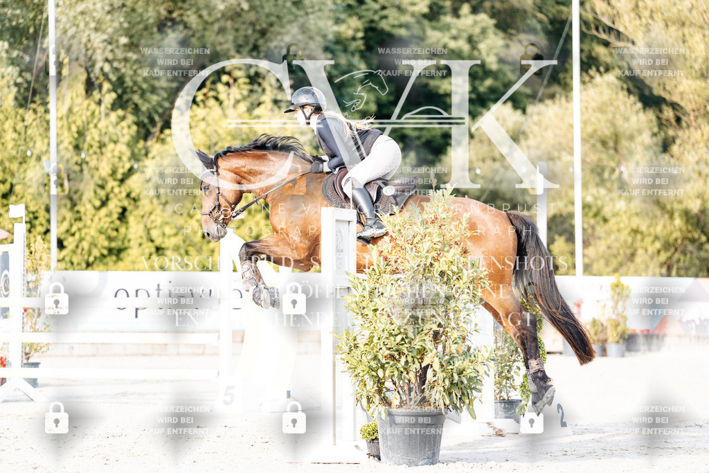 CK903257 | Turnierfotografie Pferdefotografie Trier Rheinland-Pfalz Pferdesport Reitsport Tierfotografie Sportfotografie Pferdevideo Pferdevideografie Equestrianvideography equestrianphotography  - Realisiert mit Pictrs.com
