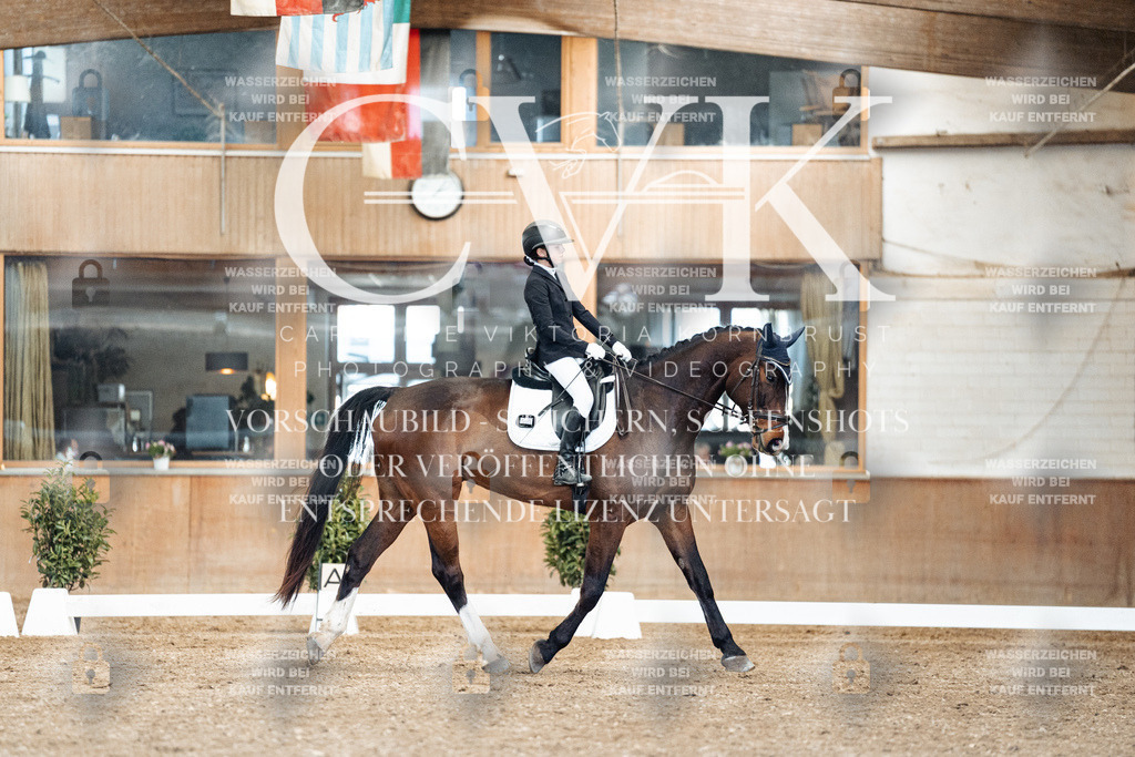 CK901222 | Turnierfotografie Pferdefotografie Trier Rheinland-Pfalz Pferdesport Reitsport Tierfotografie Sportfotografie Pferdevideo Pferdevideografie Equestrianvideography equestrianphotography  - Realisiert mit Pictrs.com