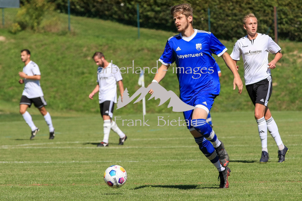 993T8395 | Michael Neumeier