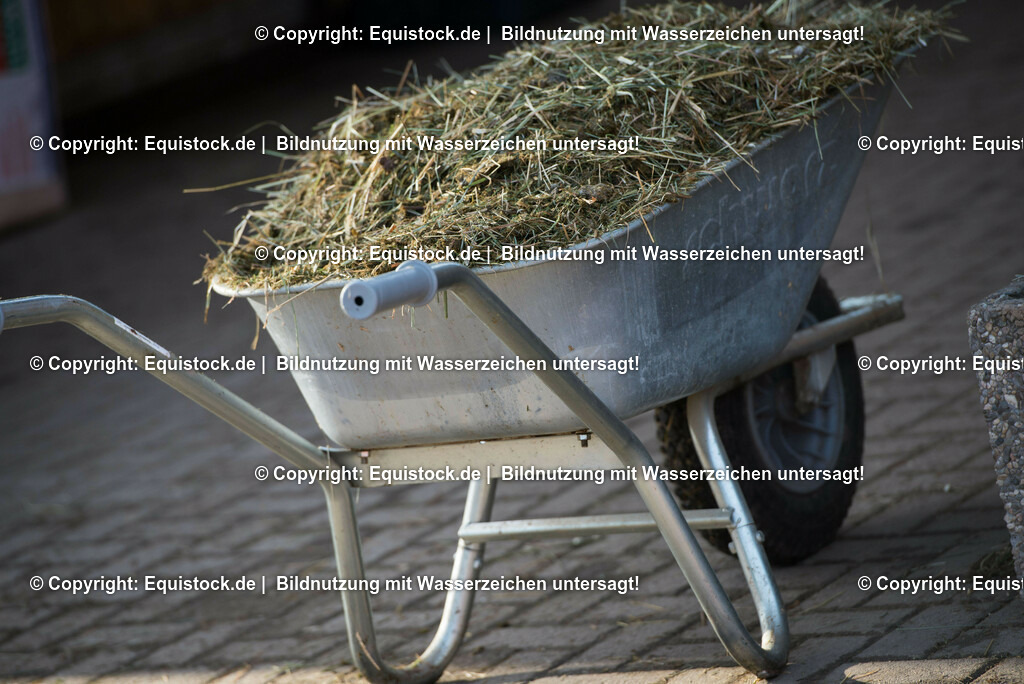 20161213_Schubkarren_0002 | Foto: Thomas Hartig