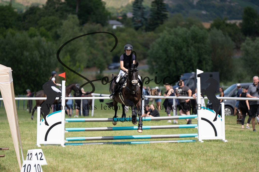 A7V00144 | Pferdefotograf