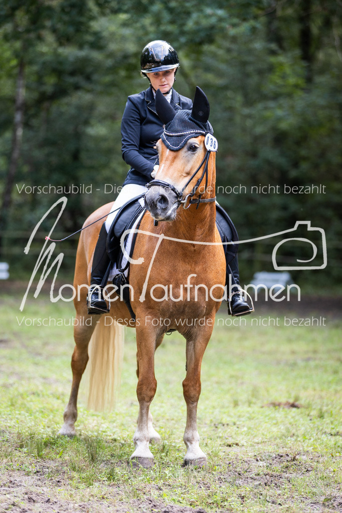 HB-Dressur-WB-064 | MomenTaufnahmen Pferdesportfotos