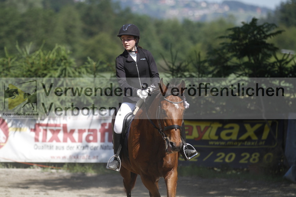 _MG_2683 | equestrian-live-com