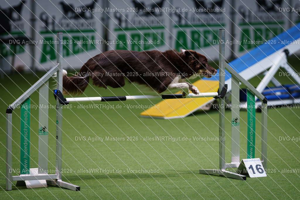 allesWIRTHgut_Tierfotografie-DVG_Agility_Masters_2026-14_33-7R500649 | Professionelle Tierfotografie in Mönchengladbach von Daniel Wirth (allesWIRTHgut). Liebevolle & natürliche Bilder von Hunden & Katzen für unvergessliche Erinnerungen.
