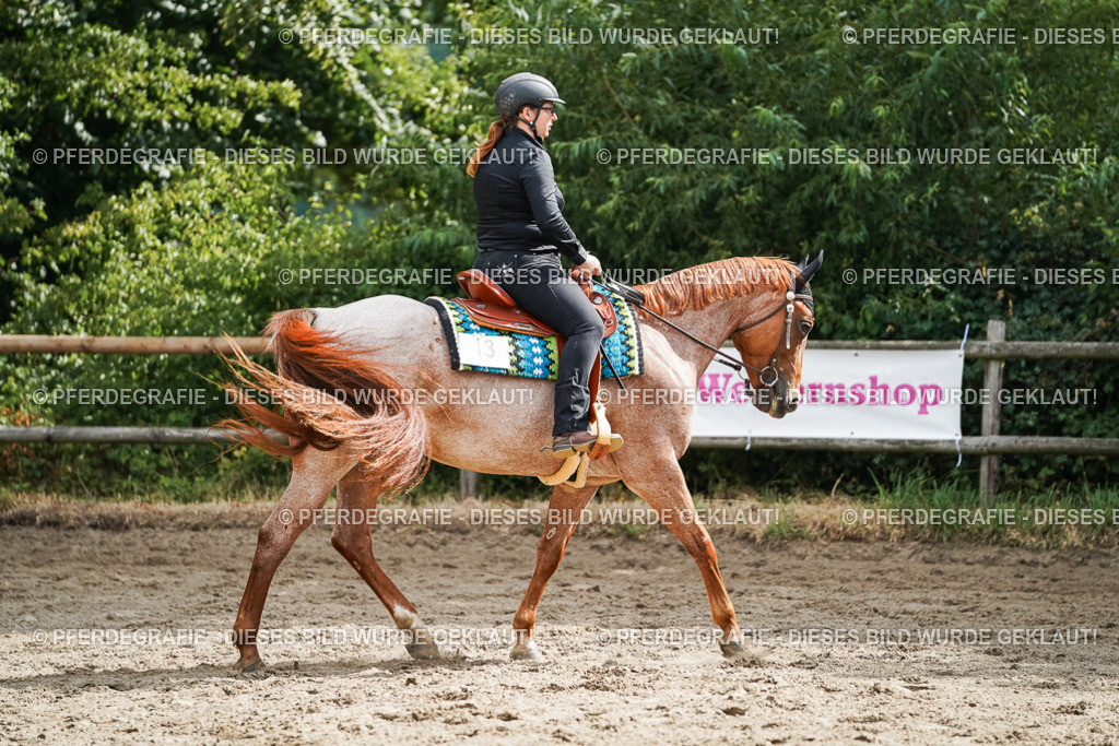 DSC04311 | Pferdegrafie