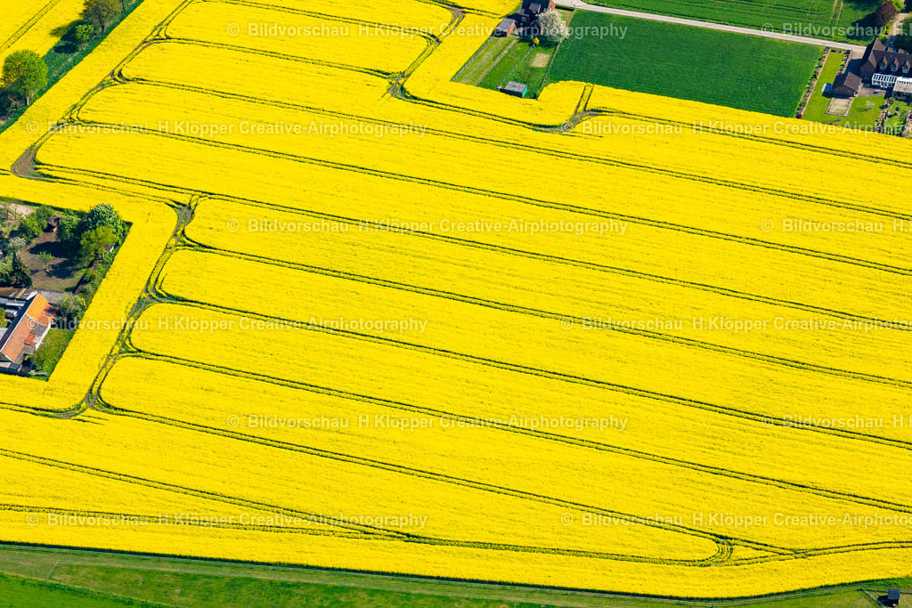 Luftbilder Rheinberg-0839 | Luftbildfotografie Rapsfeld Rheinberg - Realisiert mit Pictrs.com