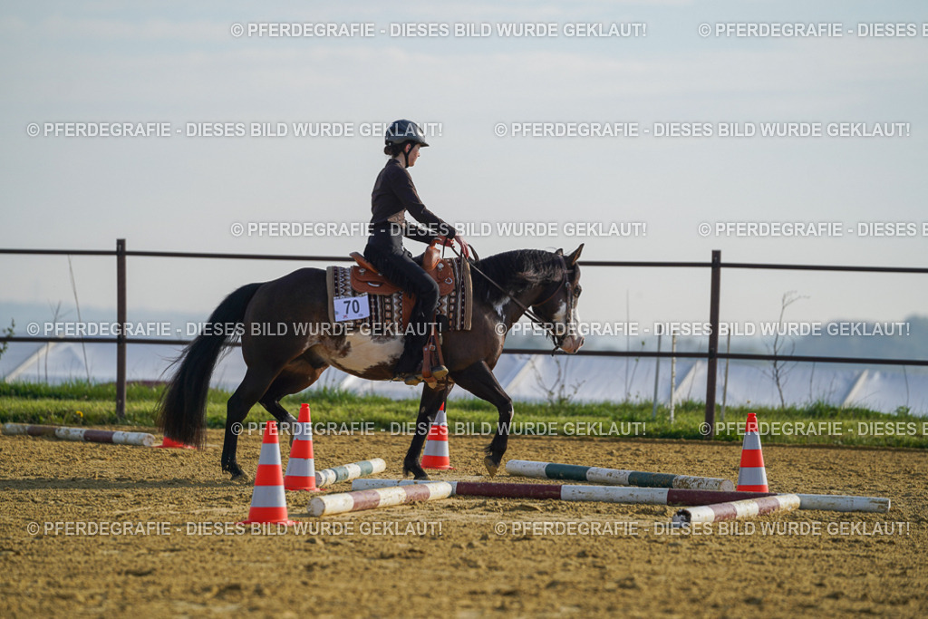 DSC00743 | Pferdegrafie