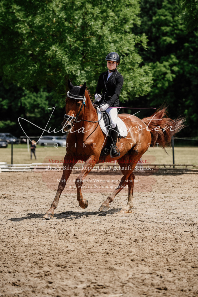 DSC_1387 | Pferde- und Turnierfotografie in Westsachsen. Pferdeportraits, Auftragszeichnungen und intuitive Kunst.
