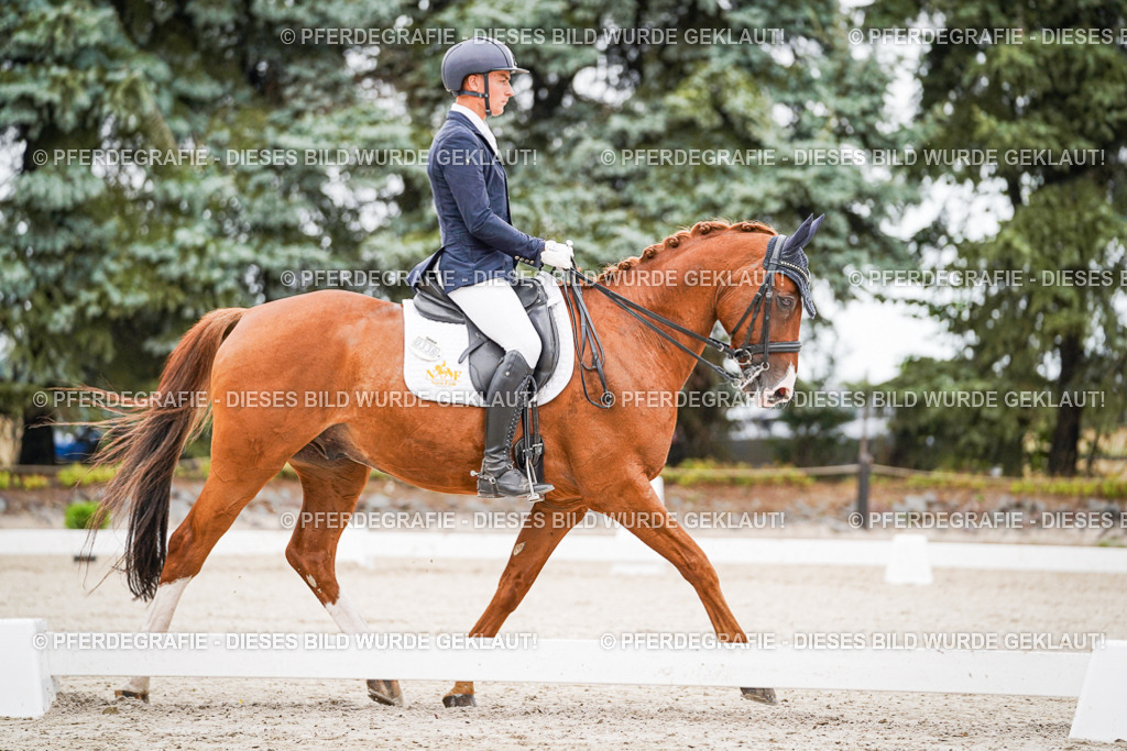 DSC08343 | Pferdegrafie