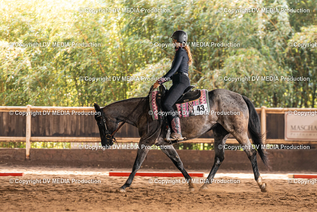 Erbach Tag 1-308 | dv-media-shop - Realisiert mit Pictrs.com