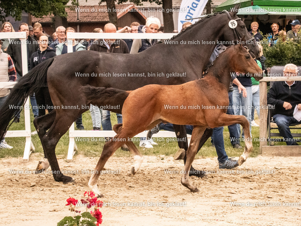 A10I1530 | photographylinaismer - Realisiert mit Pictrs.com