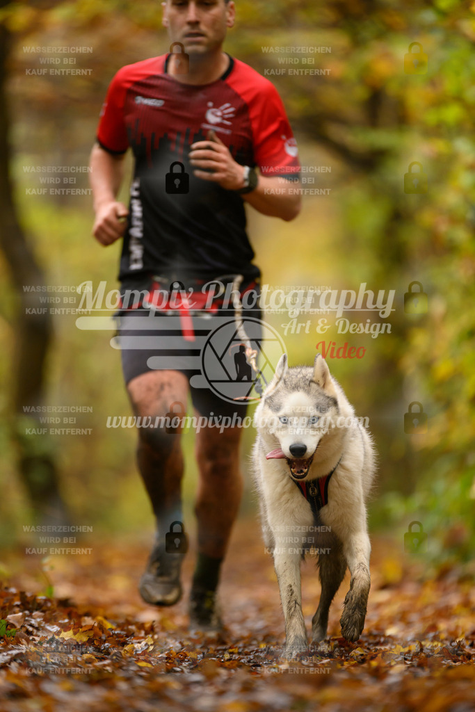 MompixPhotography_CD7S_DI_CCL-49 | mompixphotography