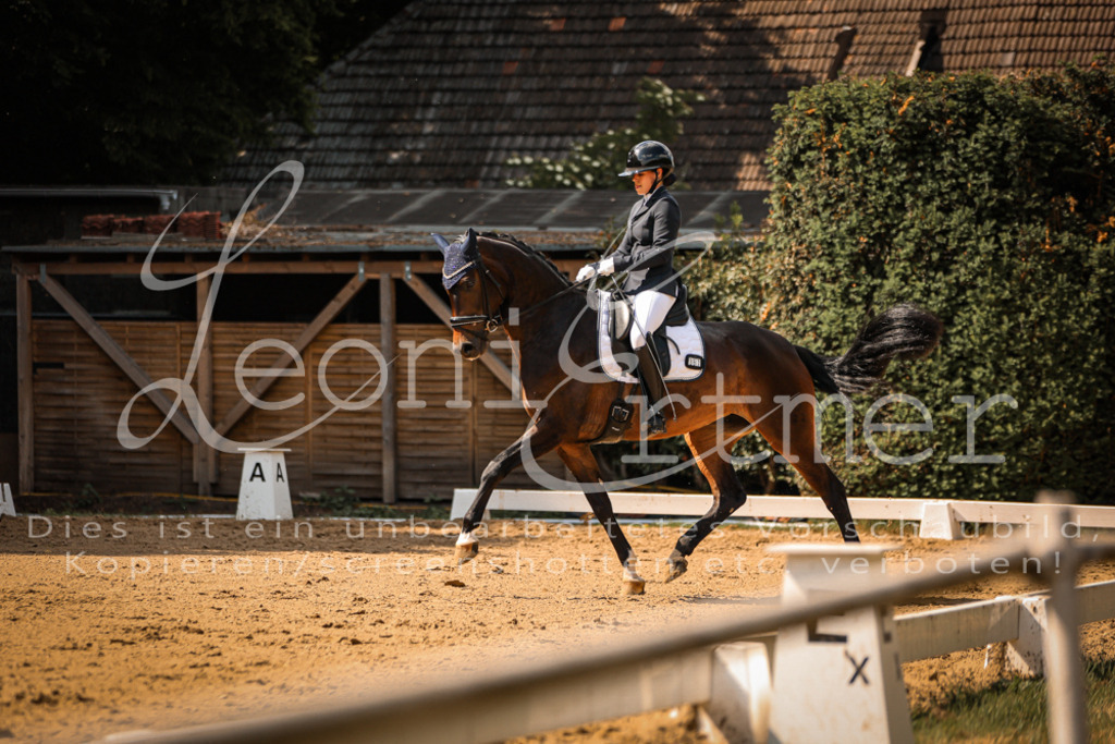 10.FrDrL00241 | Leoni Ertmer Photography - Realisiert mit Pictrs.com