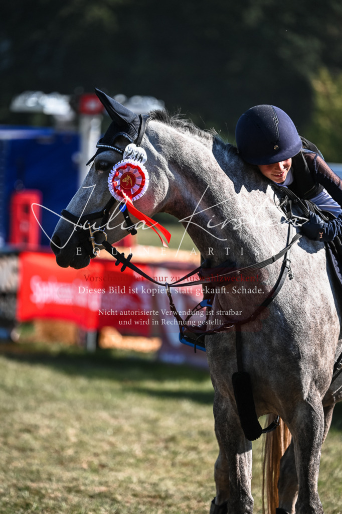 DSC_7023 | Pferde- und Turnierfotografie in Westsachsen. Pferdeportraits, Auftragszeichnungen und intuitive Kunst.