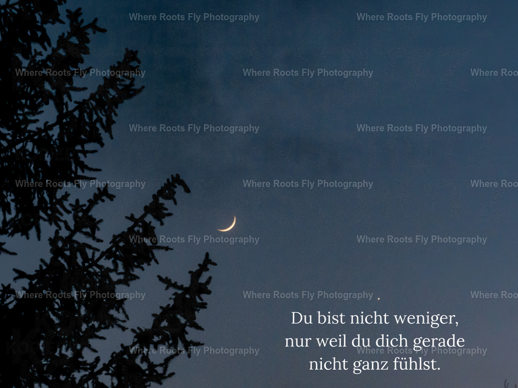 Affirmationskarten - 1 | mtkfoto_ - Realisiert mit Pictrs.com
