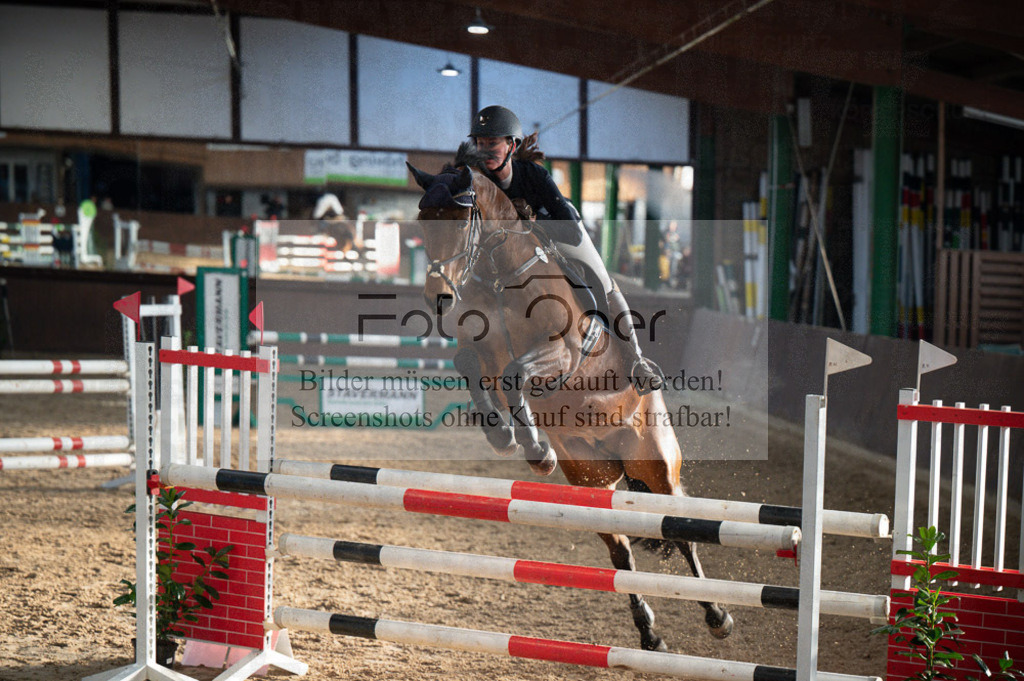 Hallenreittunier Voxtrup 2023 | Entdecke hochwertige Reitturnierfotos von Foto Oger. Professionell, emotional und authentisch – jetzt Lieblingsmomente im Shop bestellen.Deutschlandweite Turnierfotografie. - Realisiert mit Pictrs.com