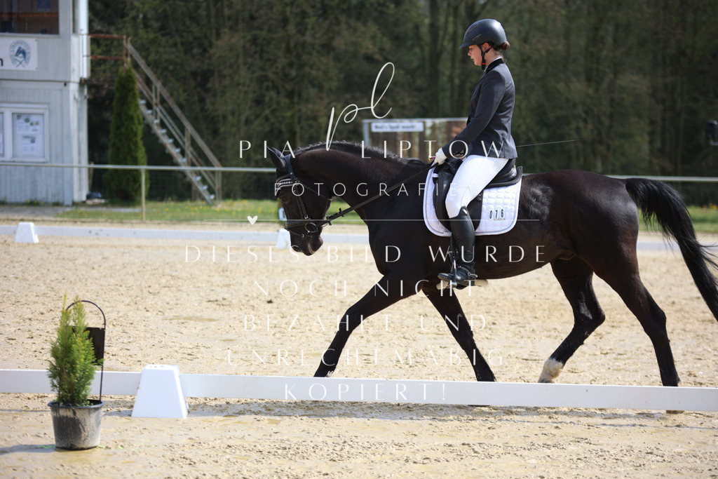 IMGT4751 | pl-fotografie