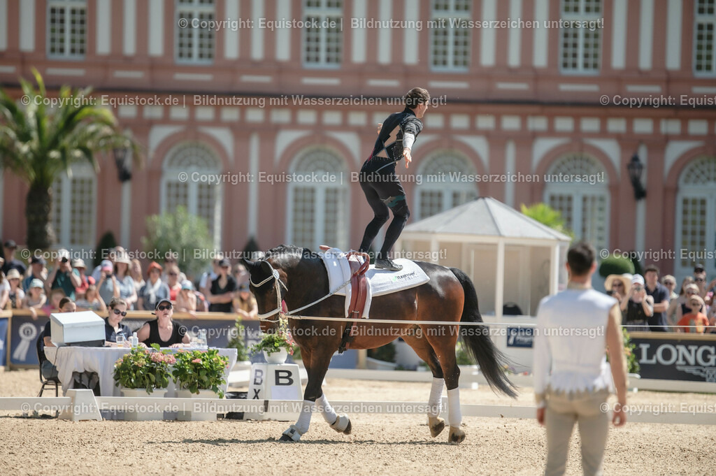 20230528_Voltigieren_NASPA_0127 | equistock