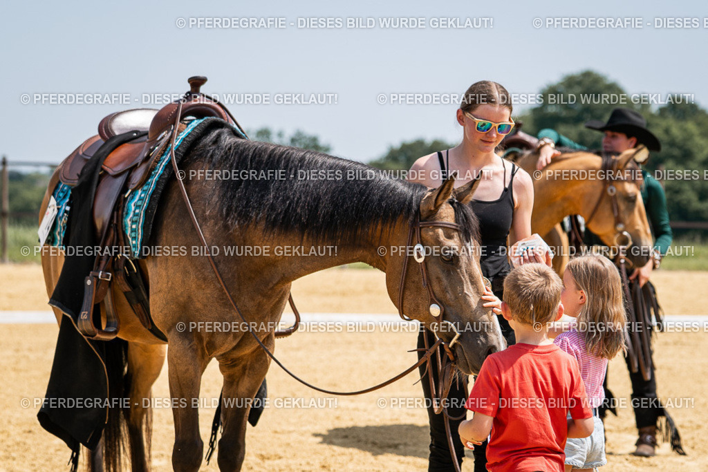 DSC01394 | Pferdegrafie