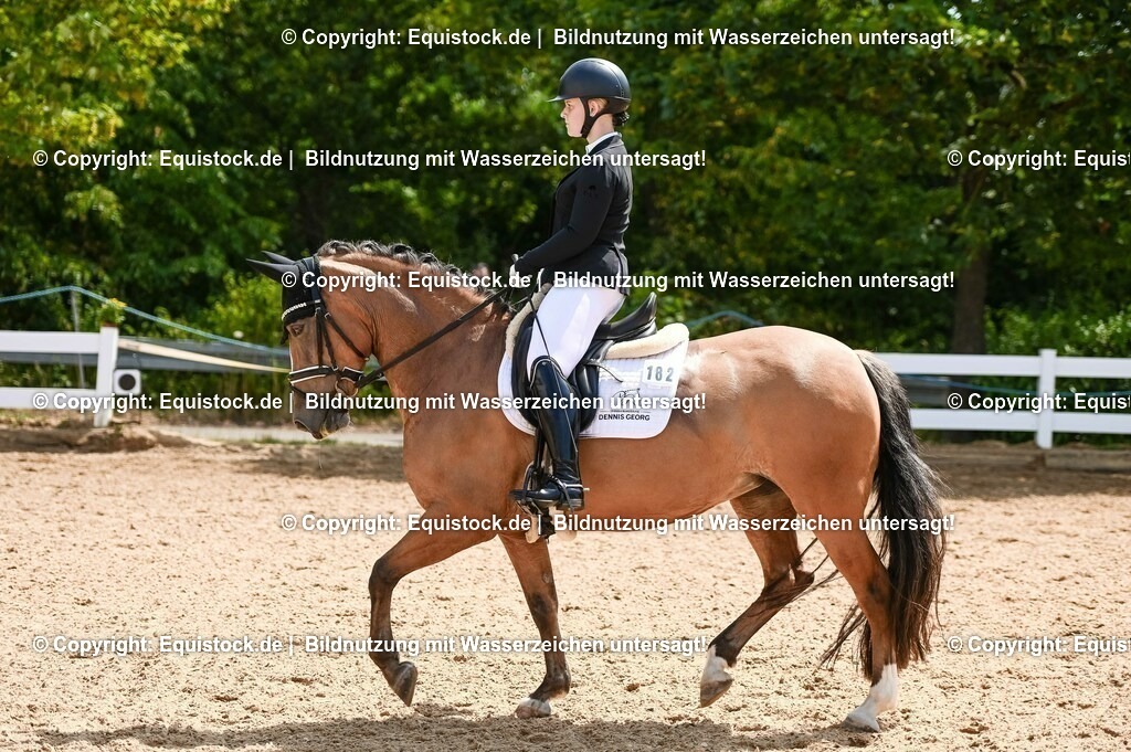 20230715_09_Dressur-WB_0303 | equistock