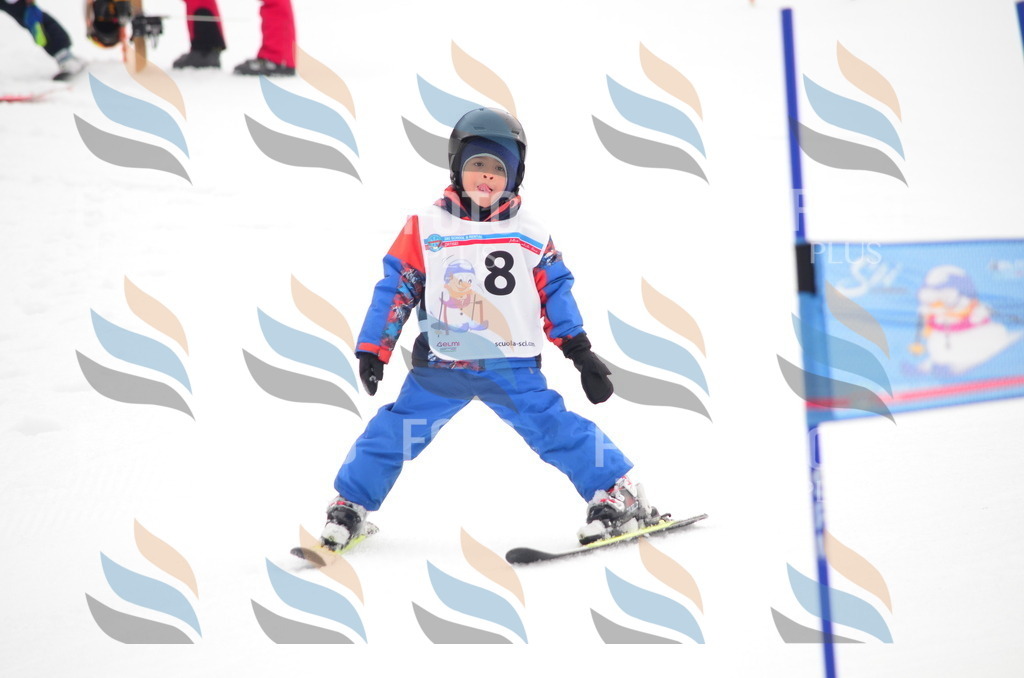 B8960 | holidayphoto