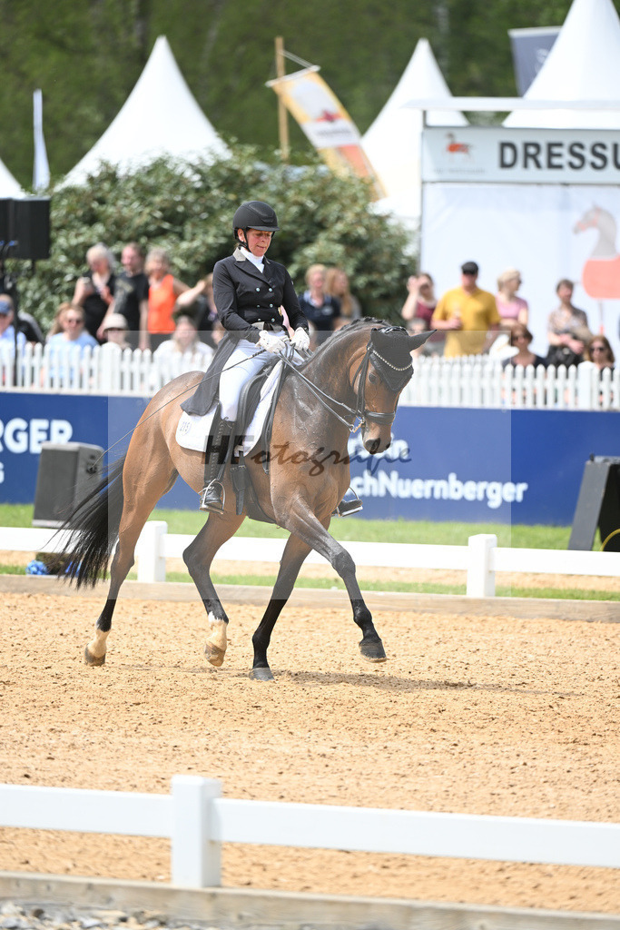 Gress_Such a Diva_11233743 | hf-fotografie - Realisiert mit Pictrs.com