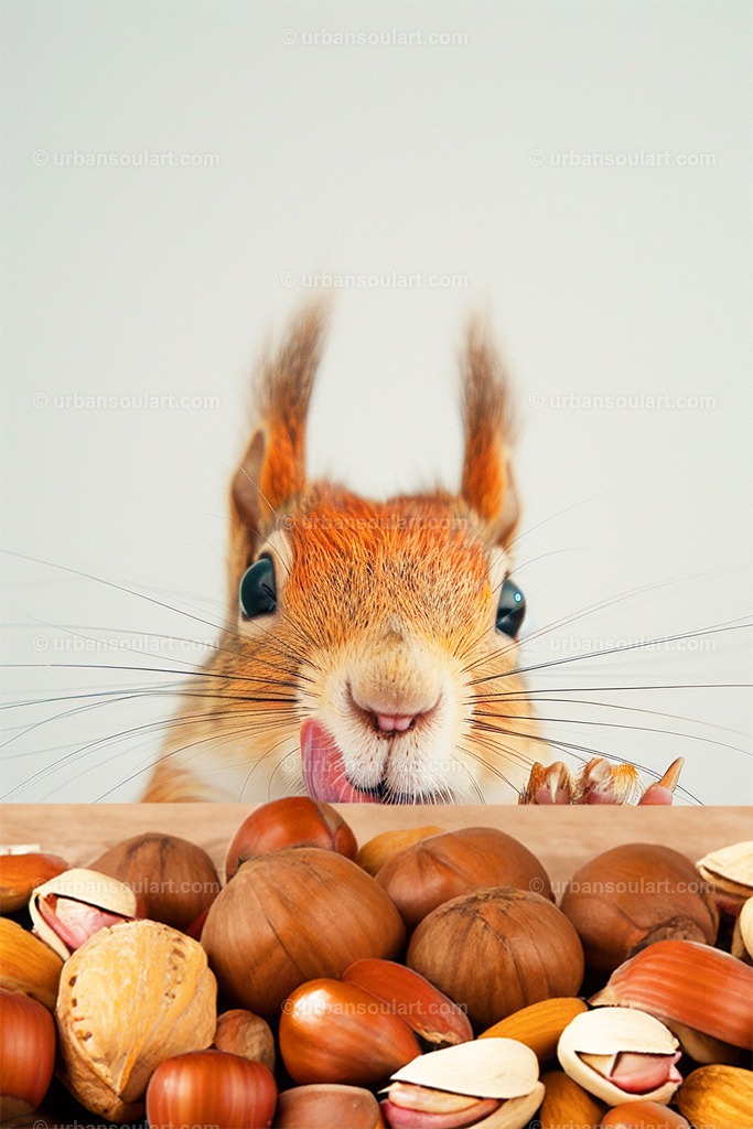 Squirrel With Nuts | Playful and full of character, this cute squirrel surrounded by a pile of nuts is a delightful addition for any nature-themed decor. Its inquisitive expression and vibrant details make it a perfect piece to bring joy to any room. - Realisiert mit Pictrs.com