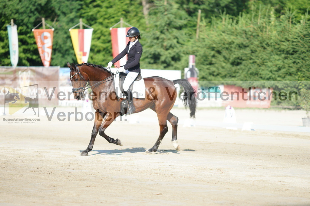 DSC02775 | equestrian-live-com