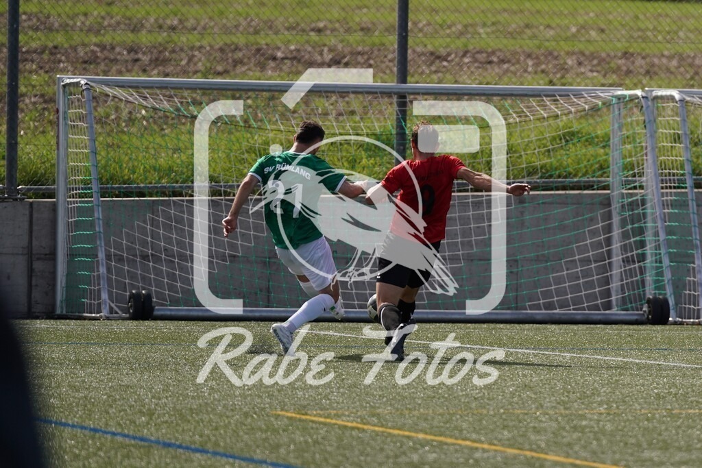 DSC08498 | rabefotos