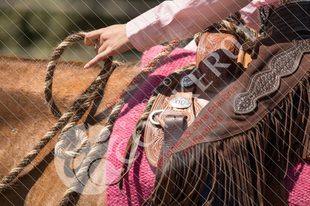 IMG_0661 | Sport-, Event- und Tierfotos in Profiqualität. Einfach auswählen, bestellen und herunterladen. Dein Moment – perfekt festgehalten.