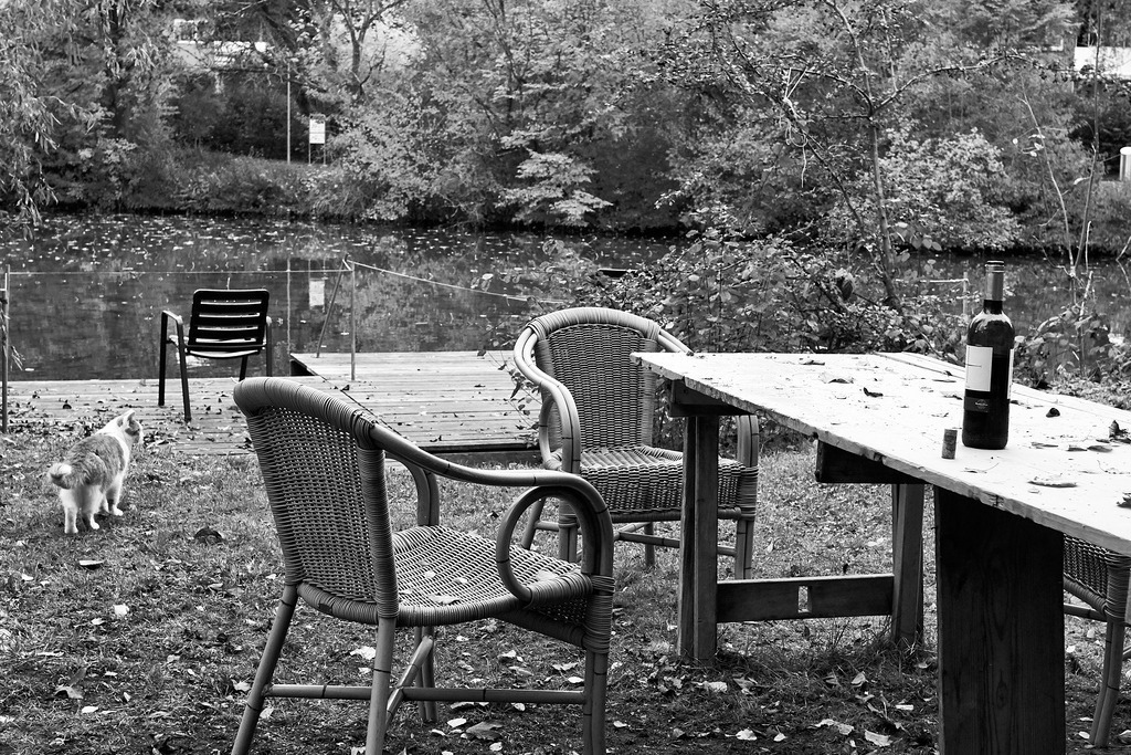 Das alte Atelierhaus 1 | Ich erzähle Geschichten als Autor und als Fotograf. Hier finden Sie hochwertige Naturfotografie, Reisefotografien und Bilder aus dem urbanen Lebensraum.  - Realisiert mit Pictrs.com